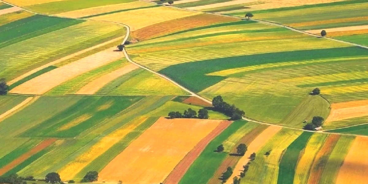 milli-emlak-arsa-satisi-1.jpg