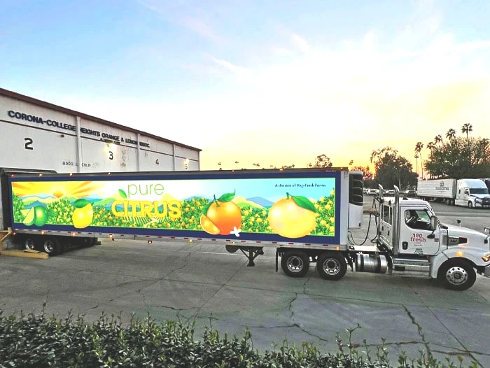 p-veg-fresh-farms-1.jpg